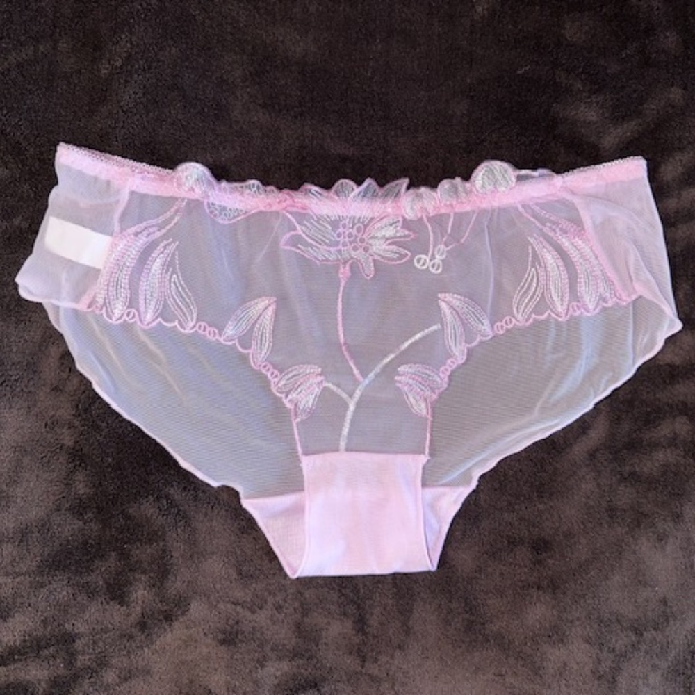 PINK Panties with embroidered flowers. Sheer see through mesh Lolita Kawaii…